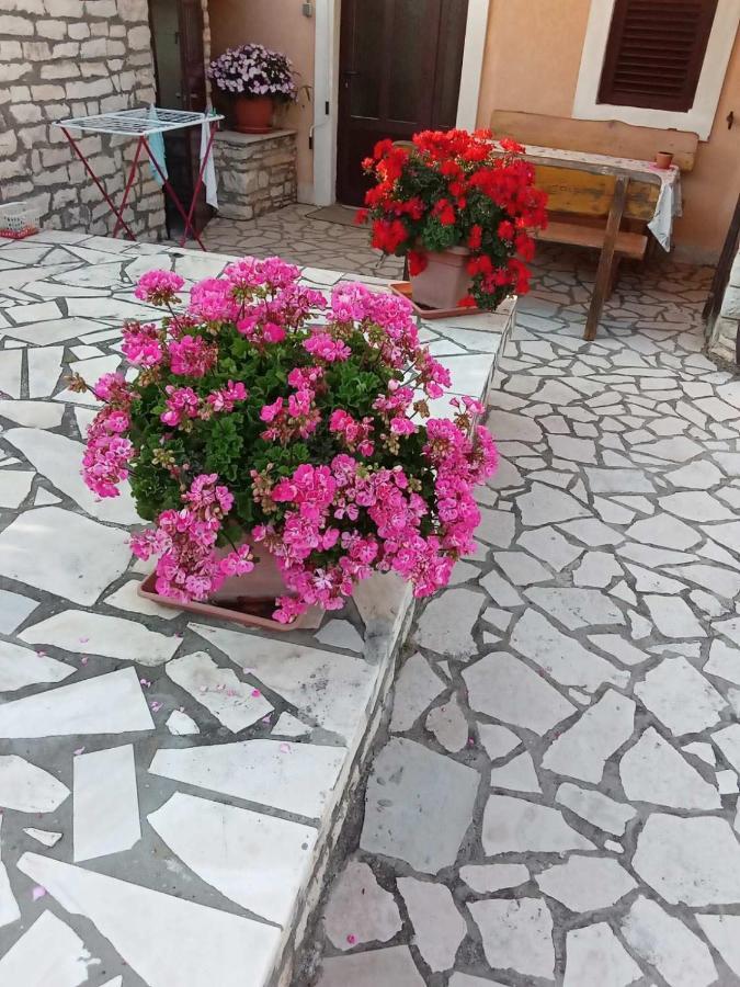 Apartmani Jurman Matohanci Exterior foto